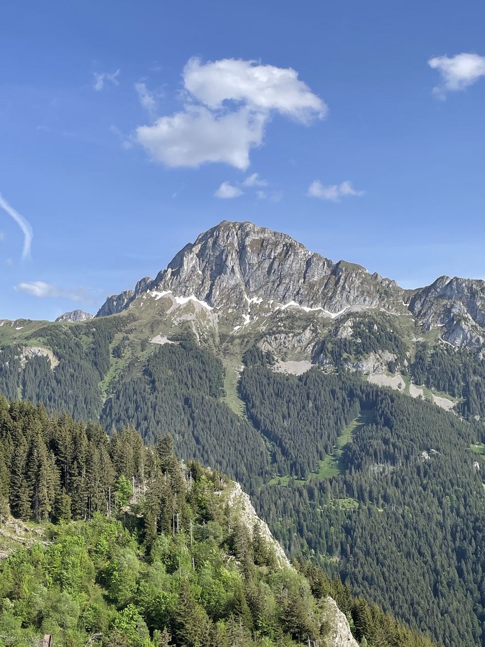 French mountains