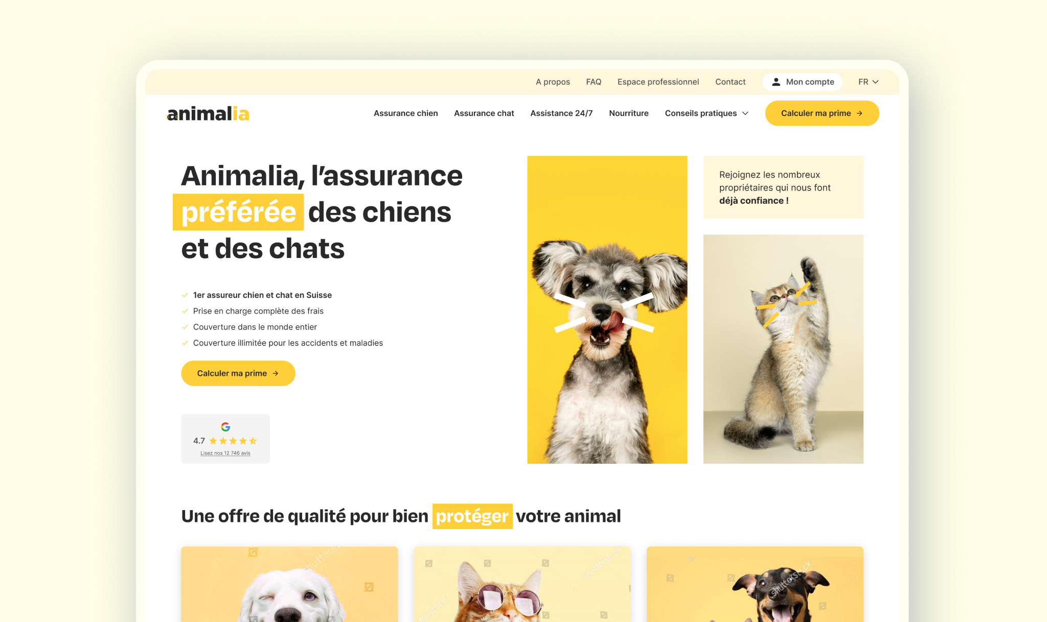 Website insurance company